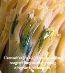 Gelbe Koralle, Foto 33
