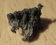 Gesäter Kohlenkugelpilz, Foto 6
