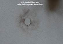 Behangener Faserling, Foto 22