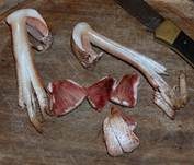 Großsporiger Blutchampignon, Foto 29