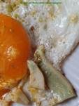 Grünender Pfeffermilchling, Foto 26