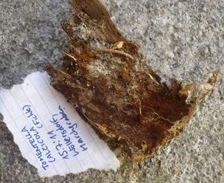 Haariges Filzgewebe, Foto 6