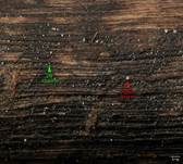 Holz-Glashaarbecherchen, Foto 14