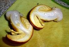 Kaiserling, Foto 25