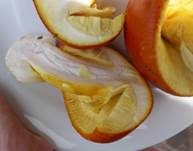 Kaiserling, Foto 29