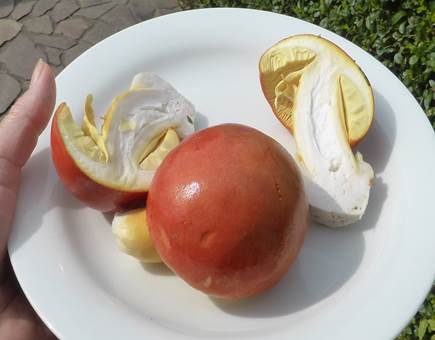Kaiserling, Foto 5