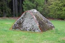 Landkartenflechte, Foto 12