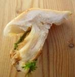 Langsporiger Samtfußrübling, Foto 8
