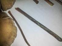 Psilocybin-Trüffel, Foto 15
