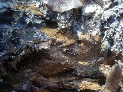 Sandbraunes Filzgewebe, Foto 3