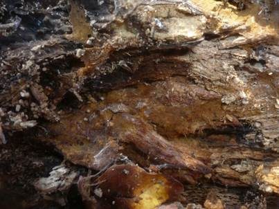 Sandbraunes Filzgewebe, Foto 4