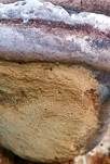 Schwarzer Hufpilz, Foto 8