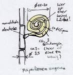 Spiralenpilzchen, Foto 17
