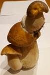 Steinpilz, Foto 60