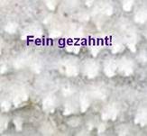 Wacholder-Zähnchenrindenpilz, Foto 8
