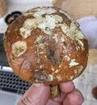 Weißgezähnelter Träuschling, Foto 36