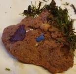 Zimtfarbener Weichporling, Foto 16