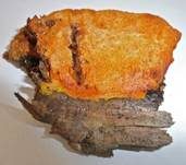 Duftender Goldporling, Foto 5