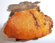 Duftender Goldporling, Foto 8