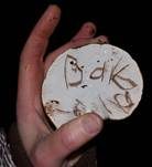 Dunkler Lackporling, Foto 14
