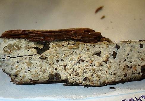 Engwarziger Wachsrindenpilz, Foto 2