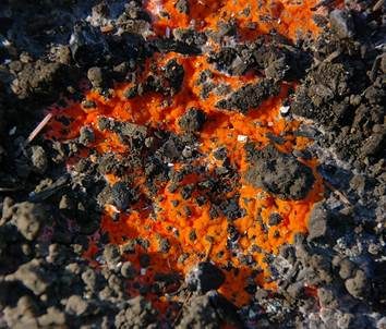 Feuerkissen, Foto 2