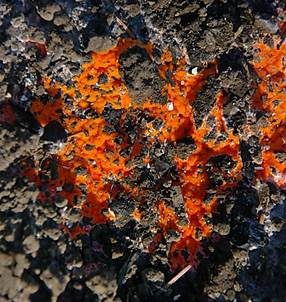 Feuerkissen, Foto 3