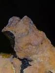 Fleischroter Zystidenrindenpilz, Foto 13